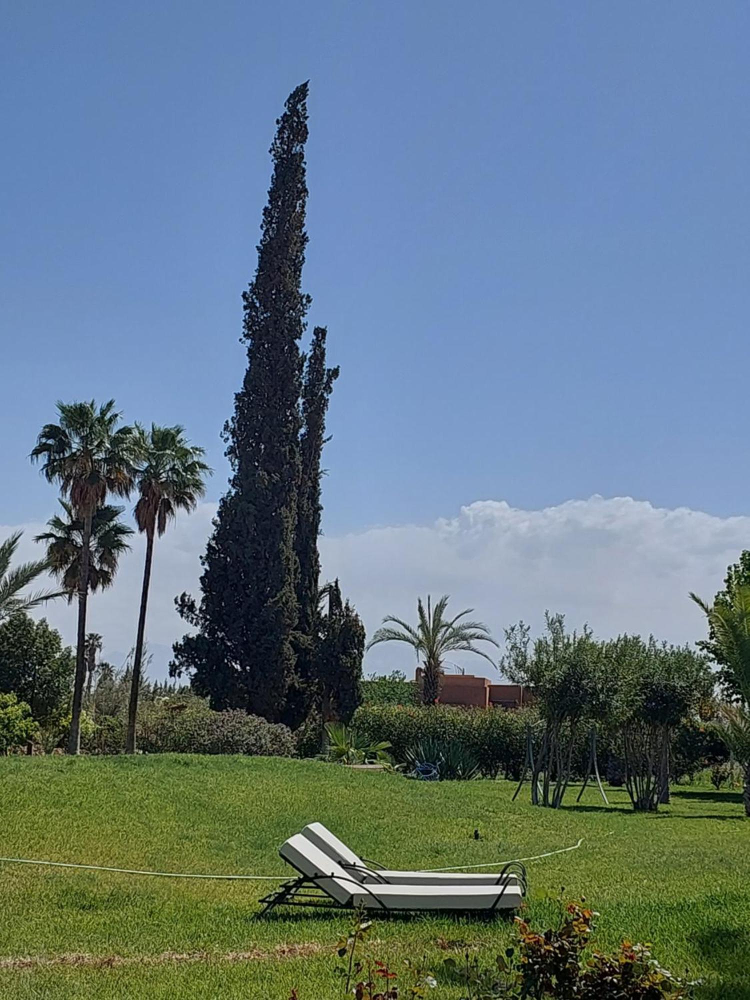 Palais Les Sources De L'Atlas & Spa El Harkat Eksteriør bilde